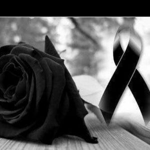 Meet your Posher, Alma